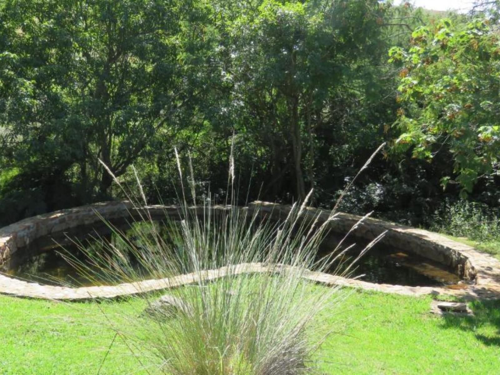 Verlorenkloof Wilgekraal Lydenburg Mpumalanga South Africa Plant, Nature, Garden