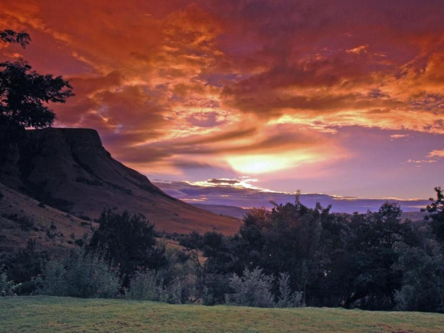 Verlorenkloof Wilgekraal Lydenburg Mpumalanga South Africa Nature