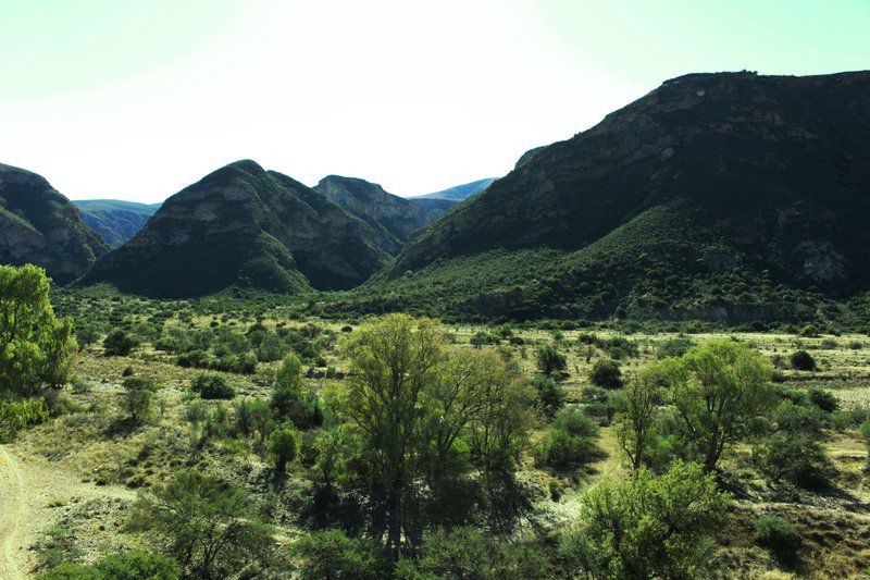 Verloren Rivier Willowmore Eastern Cape South Africa Highland, Nature