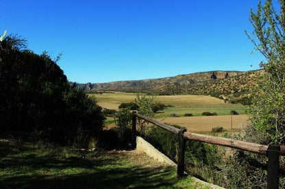 Verloren Rivier Willowmore Eastern Cape South Africa Complementary Colors, Nature