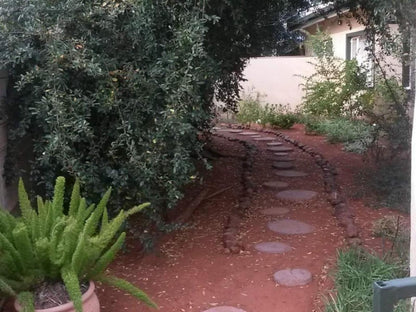 Versamelnes Guest Accommodation Blydeville Upington Northern Cape South Africa Cactus, Plant, Nature, Garden