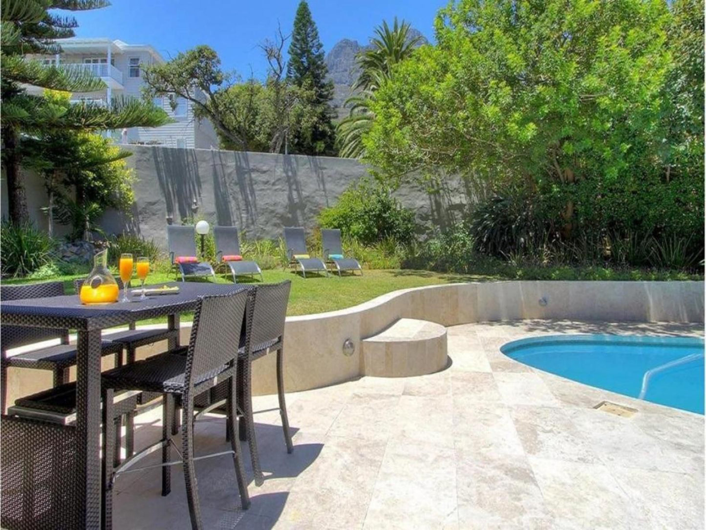 Vetho Villa Camps Bay Cape Town Western Cape South Africa Palm Tree, Plant, Nature, Wood, Garden, Swimming Pool