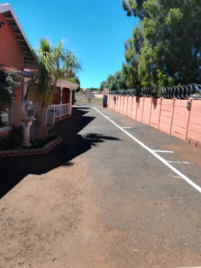 Vetra Amour Guesthouse Coffee Shop Carters Glen Kimberley Northern Cape South Africa Palm Tree, Plant, Nature, Wood, Leading Lines, Street