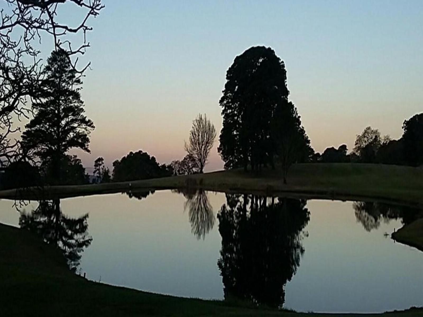 Victoria Country Club, Prince Albert, Tree, Plant, Nature, Wood