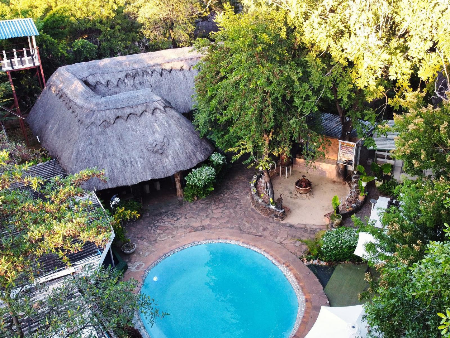 Victoria Falls Backpackers Lodge, Garden, Nature, Plant, Swimming Pool