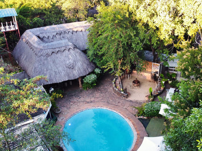 Victoria Falls Backpackers Lodge, Garden, Nature, Plant, Swimming Pool