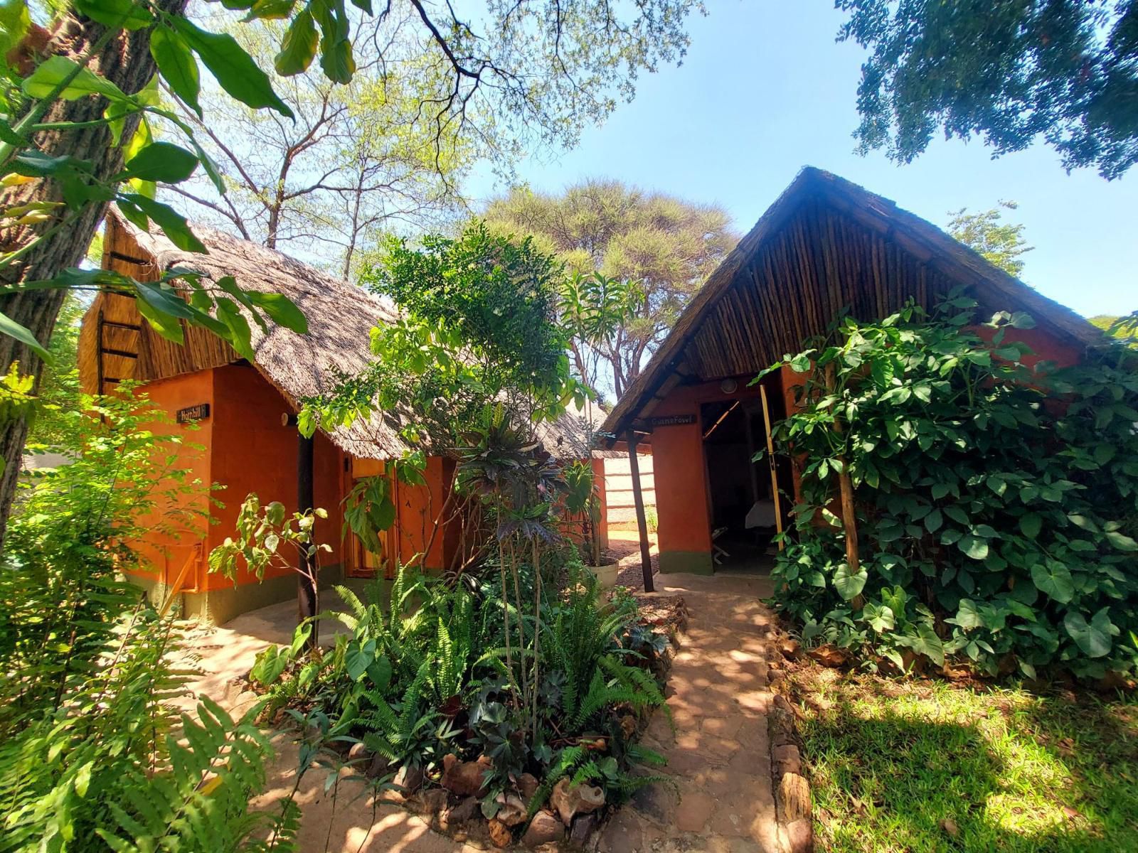 Victoria Falls Backpackers Lodge, Elephant Dorm