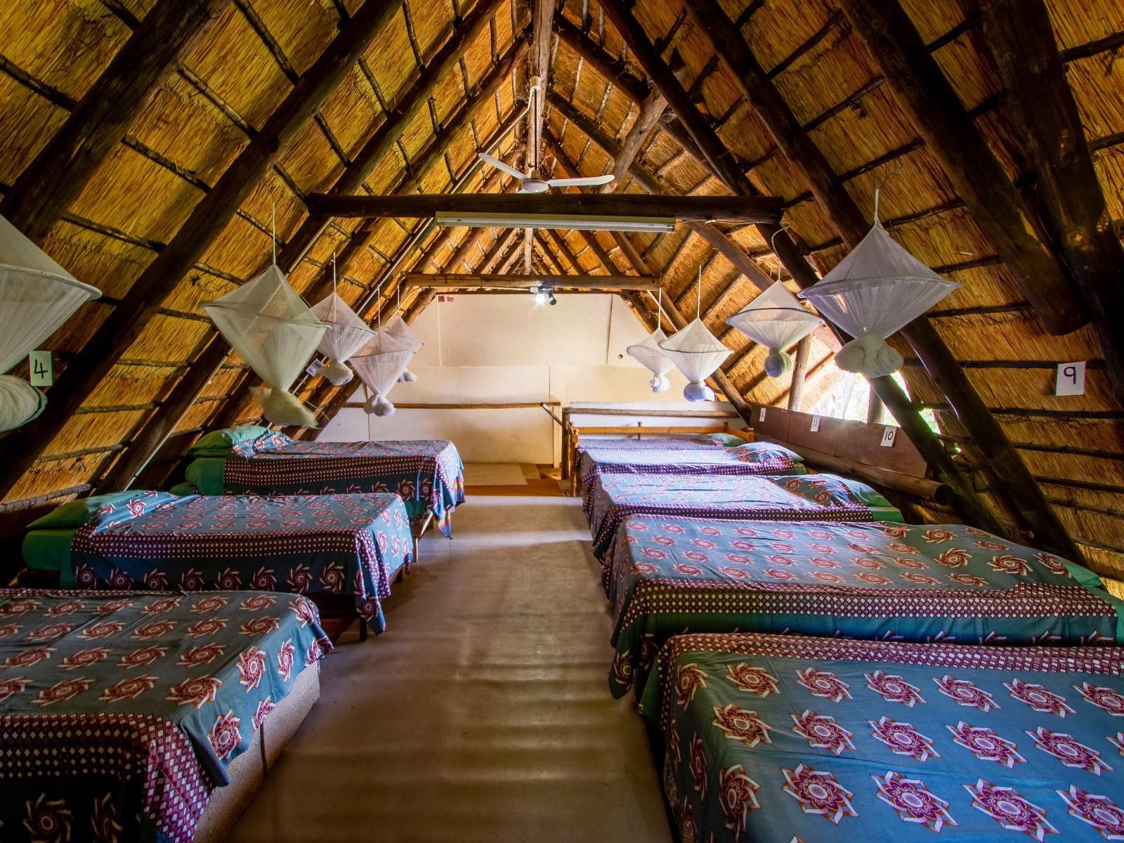 Victoria Falls Backpackers Lodge, Safari Tent Twin beds(separate bathroom), Bedroom