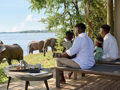 Victoria Falls River Lodge, Elephant, Mammal, Animal, Herbivore, Group, Person