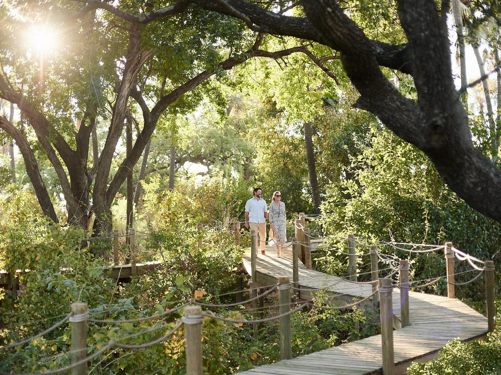 Victoria Falls River Lodge, Plant, Nature, Tree, Wood, Garden, Person