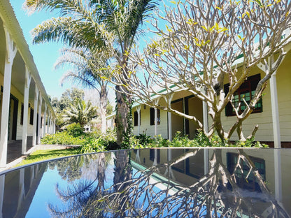 Victoria And Alfred Guest House Walmer Port Elizabeth Eastern Cape South Africa House, Building, Architecture, Palm Tree, Plant, Nature, Wood