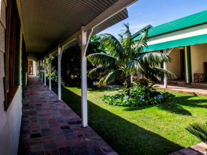 Victoria And Alfred Guest House Walmer Port Elizabeth Eastern Cape South Africa House, Building, Architecture, Palm Tree, Plant, Nature, Wood