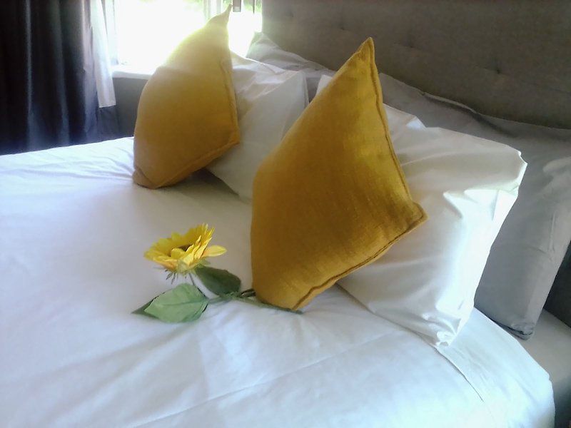 Victoria Oaks Guest House Victoria West Northern Cape South Africa Complementary Colors, Flower, Plant, Nature