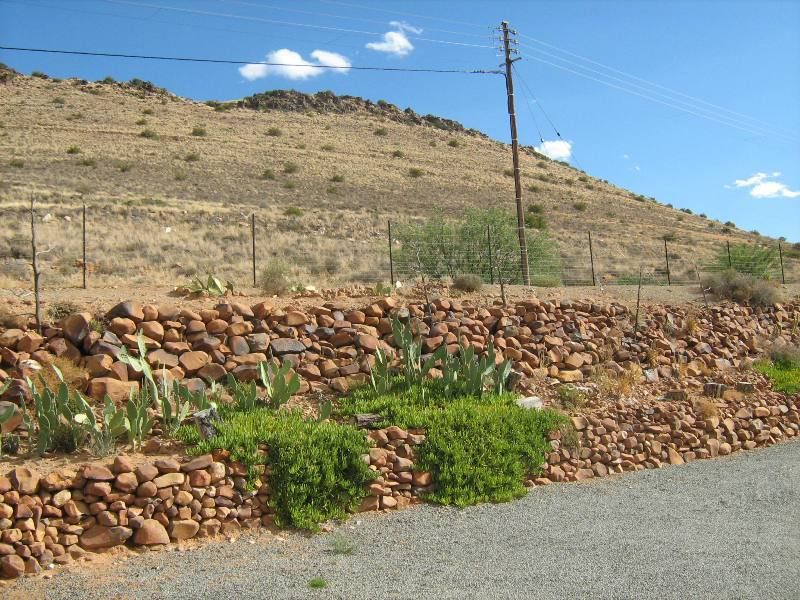 Victoria S Pride Victoria West Northern Cape South Africa Complementary Colors, Cactus, Plant, Nature