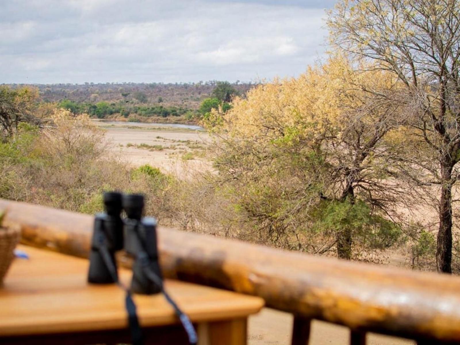 Vida Nova Kruger Marloth Park Mpumalanga South Africa 