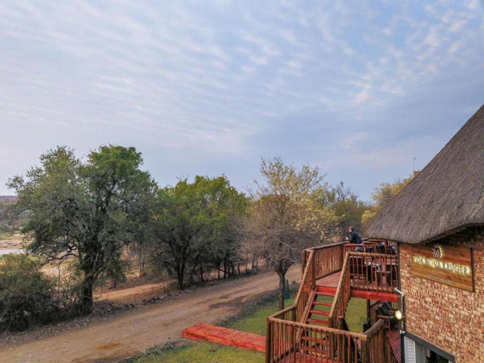 Vida Nova Kruger Marloth Park Mpumalanga South Africa Complementary Colors