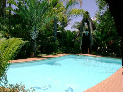 Vido Lodge Polokwane Pietersburg Limpopo Province South Africa Complementary Colors, Palm Tree, Plant, Nature, Wood, Garden, Swimming Pool