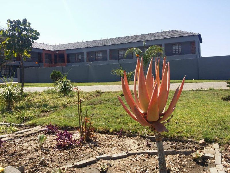 Vido Lodge And Conference Centre Plot 78 Doornbult Polokwane Pietersburg Limpopo Province South Africa House, Building, Architecture, Plant, Nature