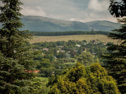 Viewpoint Estate Haenertsburg Limpopo Province South Africa Mountain, Nature, Tree, Plant, Wood, Highland