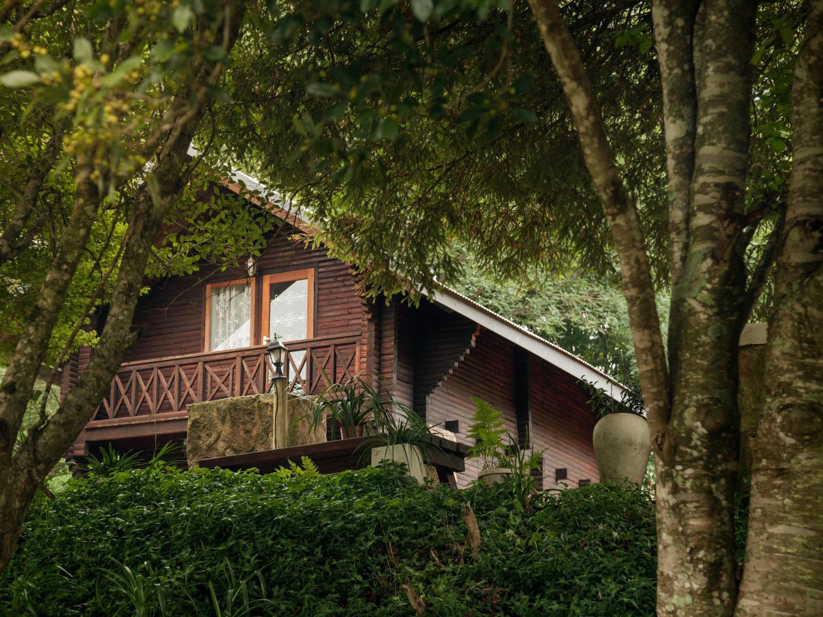 Viewpoint Estate Haenertsburg Limpopo Province South Africa Building, Architecture, House, Plant, Nature, Tree, Wood