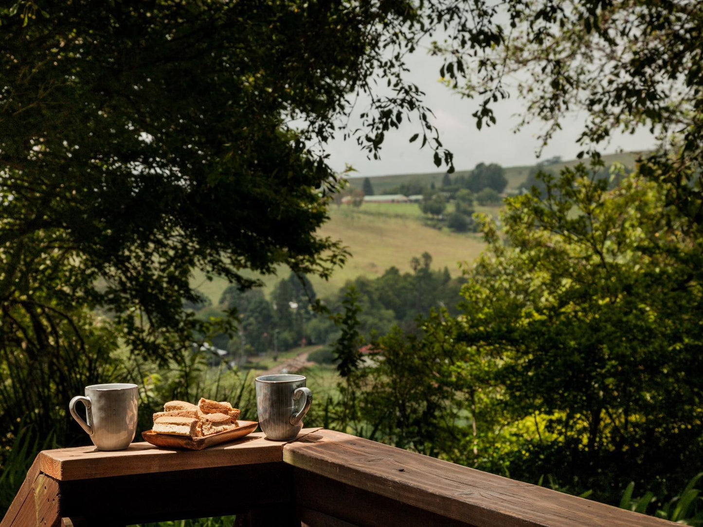 Viewpoint Estate Haenertsburg Limpopo Province South Africa Cup, Drinking Accessoire, Drink, Tree, Plant, Nature, Wood