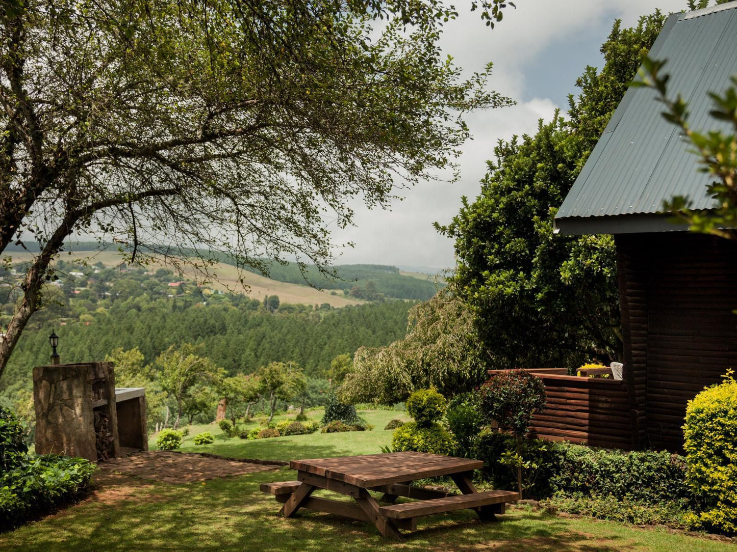 Viewpoint Estate Haenertsburg Limpopo Province South Africa Tree, Plant, Nature, Wood