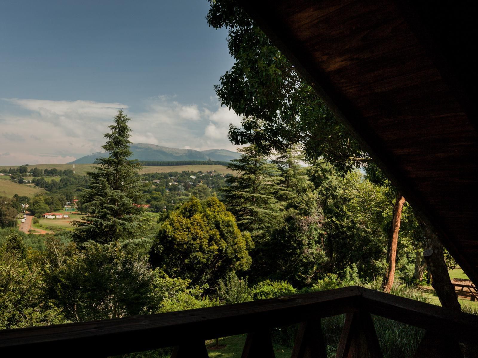 Viewpoint Estate Haenertsburg Limpopo Province South Africa Tree, Plant, Nature, Wood, Highland