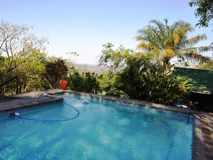 Viewpoint Lodge And Safari Tours Numbi Park Hazyview Mpumalanga South Africa Palm Tree, Plant, Nature, Wood, Garden, Swimming Pool