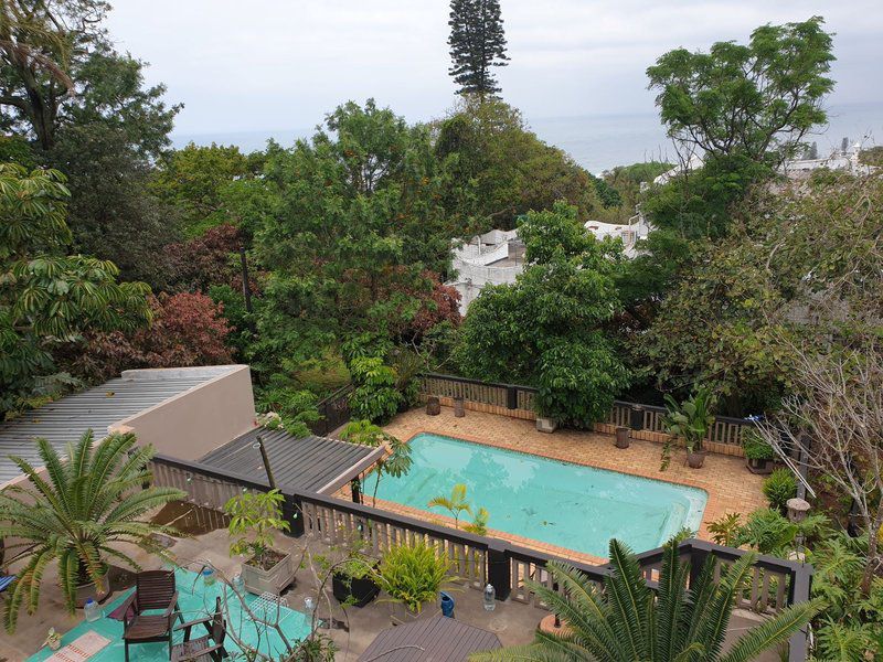 Views On Ballito Drive Ballito Kwazulu Natal South Africa Palm Tree, Plant, Nature, Wood, Garden, Swimming Pool