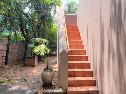 Views On Ballito Drive Ballito Kwazulu Natal South Africa Stairs, Architecture, Garden, Nature, Plant