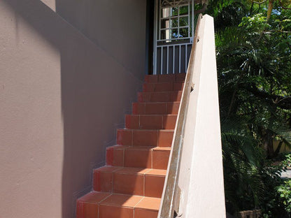 Views On Ballito Drive Ballito Kwazulu Natal South Africa Palm Tree, Plant, Nature, Wood, Stairs, Architecture