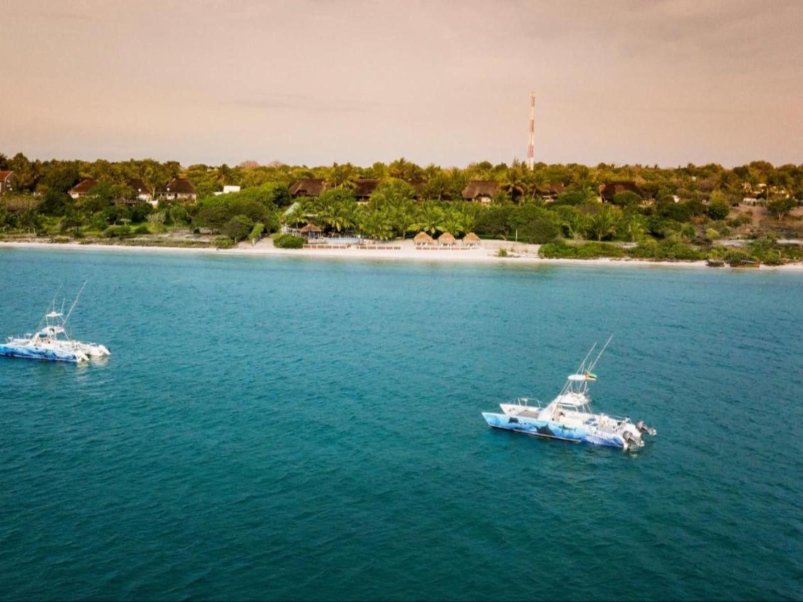 Vila Do Paraiso, Colorful, Boat, Vehicle, Beach, Nature, Sand, Island, Ocean, Waters