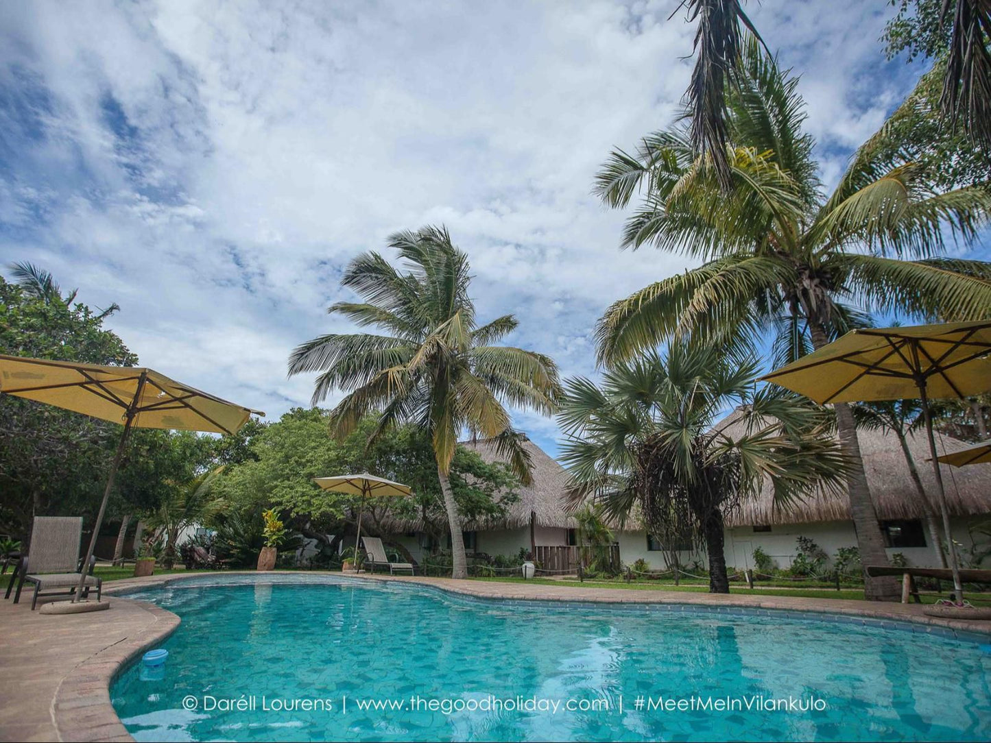 Vila La Mar, Palm Tree, Plant, Nature, Wood, Swimming Pool