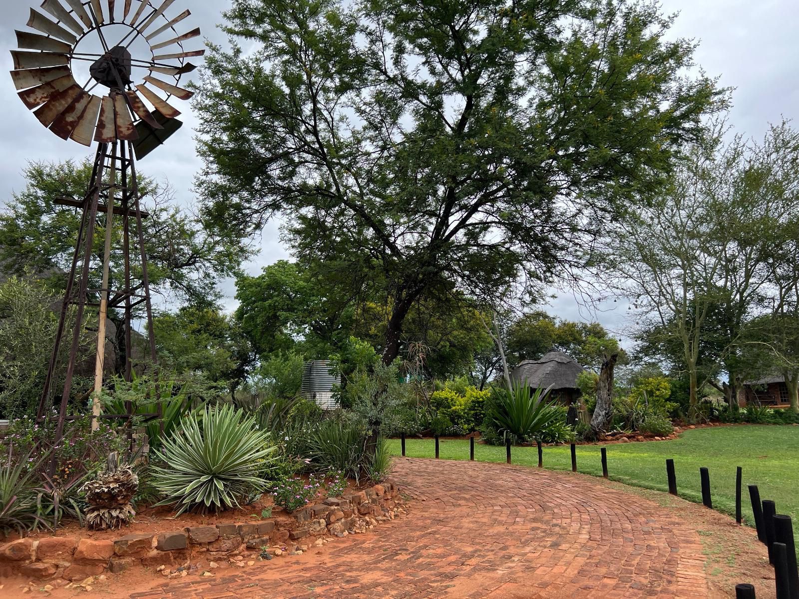 Vilagama Private Game Lodge Mookgopong Naboomspruit Limpopo Province South Africa Palm Tree, Plant, Nature, Wood, Garden