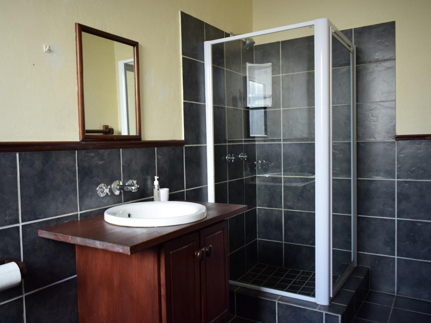 Villa Albert Robertson Western Cape South Africa Bathroom
