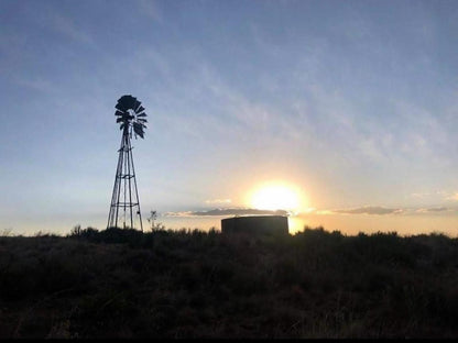 Villa Beginsel Clarens Free State South Africa Palm Tree, Plant, Nature, Wood, Sky, Sunset