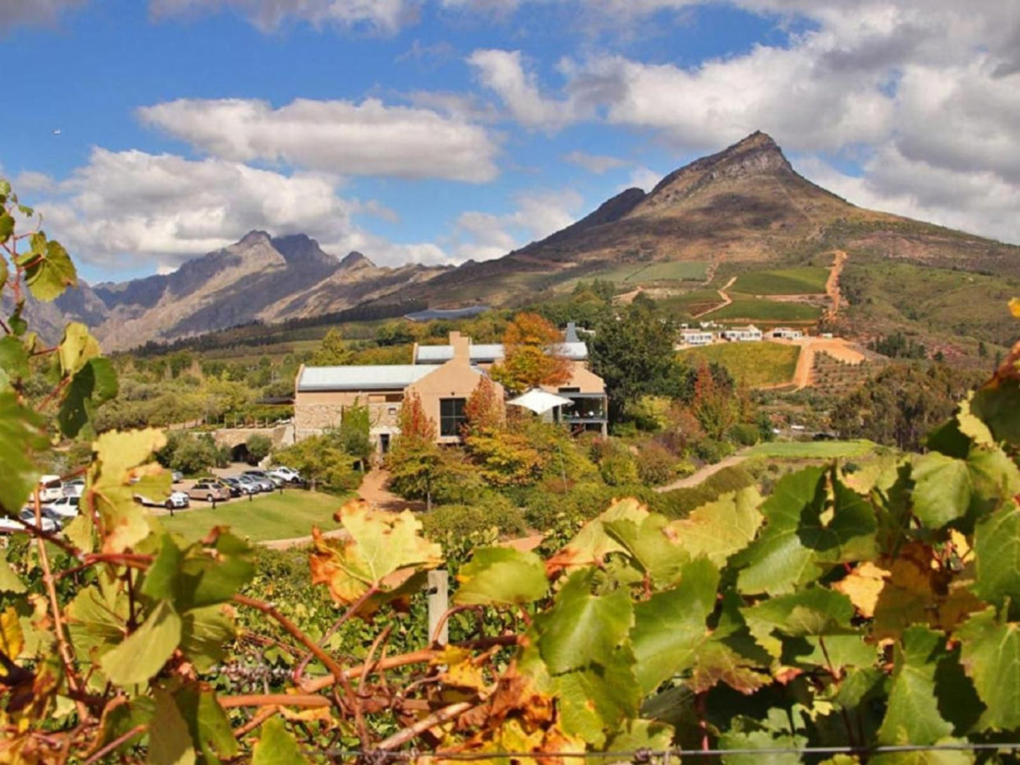 Villa Bon Chretien Die Boord Stellenbosch Western Cape South Africa Mountain, Nature, Highland