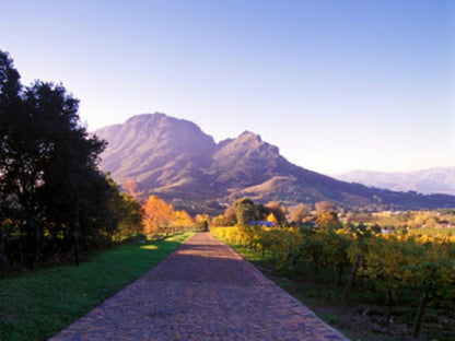 Villa Bon Chretien Die Boord Stellenbosch Western Cape South Africa Mountain, Nature