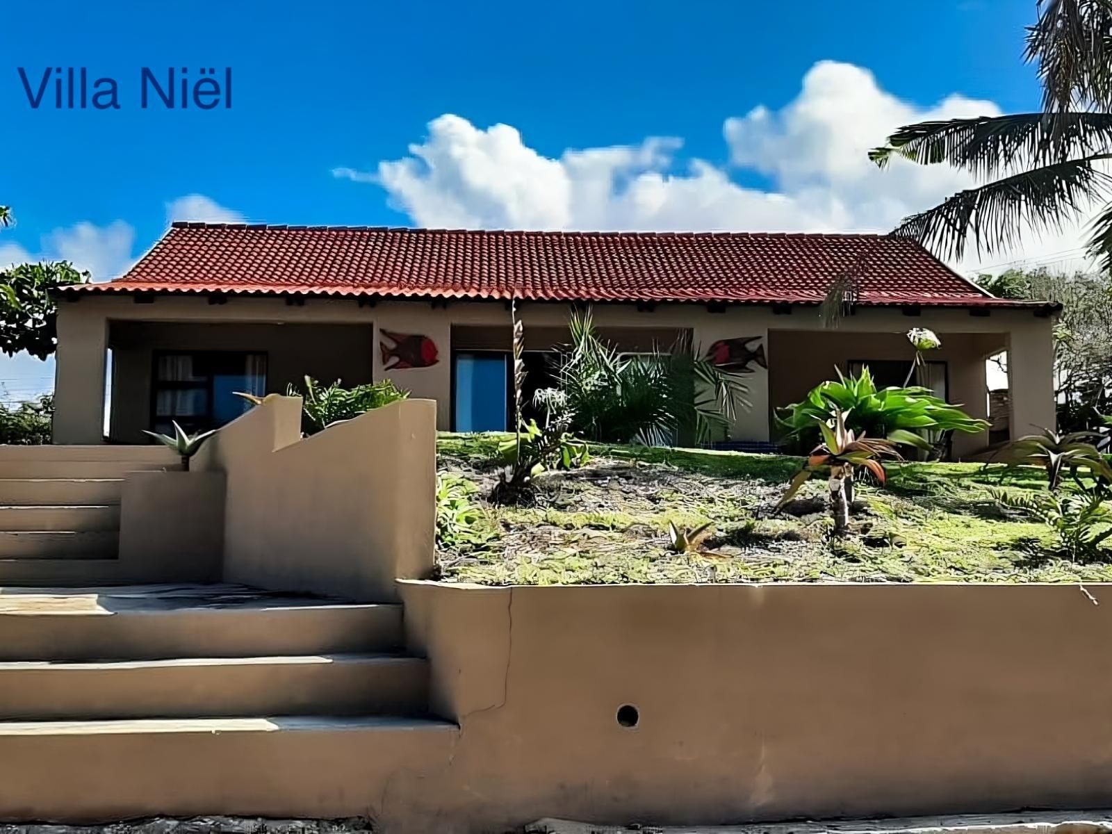 Villa Castellos, House, Building, Architecture, Palm Tree, Plant, Nature, Wood