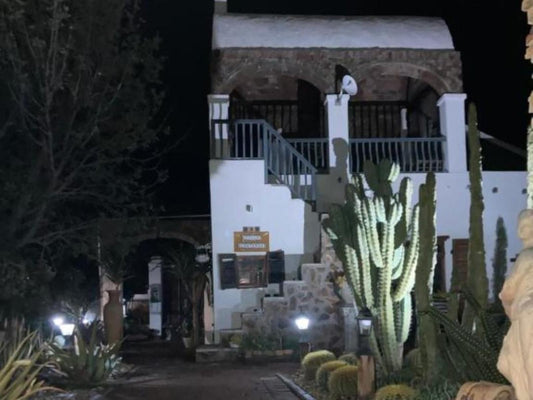 Villa Contessa, Cactus, Plant, Nature