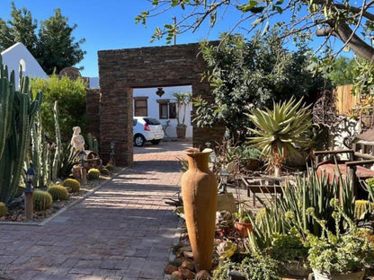 Villa Contessa, Cactus, Plant, Nature, House, Building, Architecture, Garden