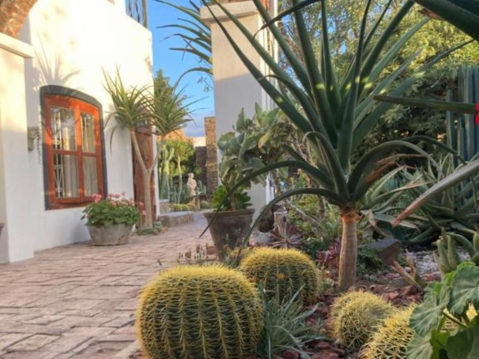 Villa Contessa, Cactus, Plant, Nature, House, Building, Architecture, Palm Tree, Wood, Garden