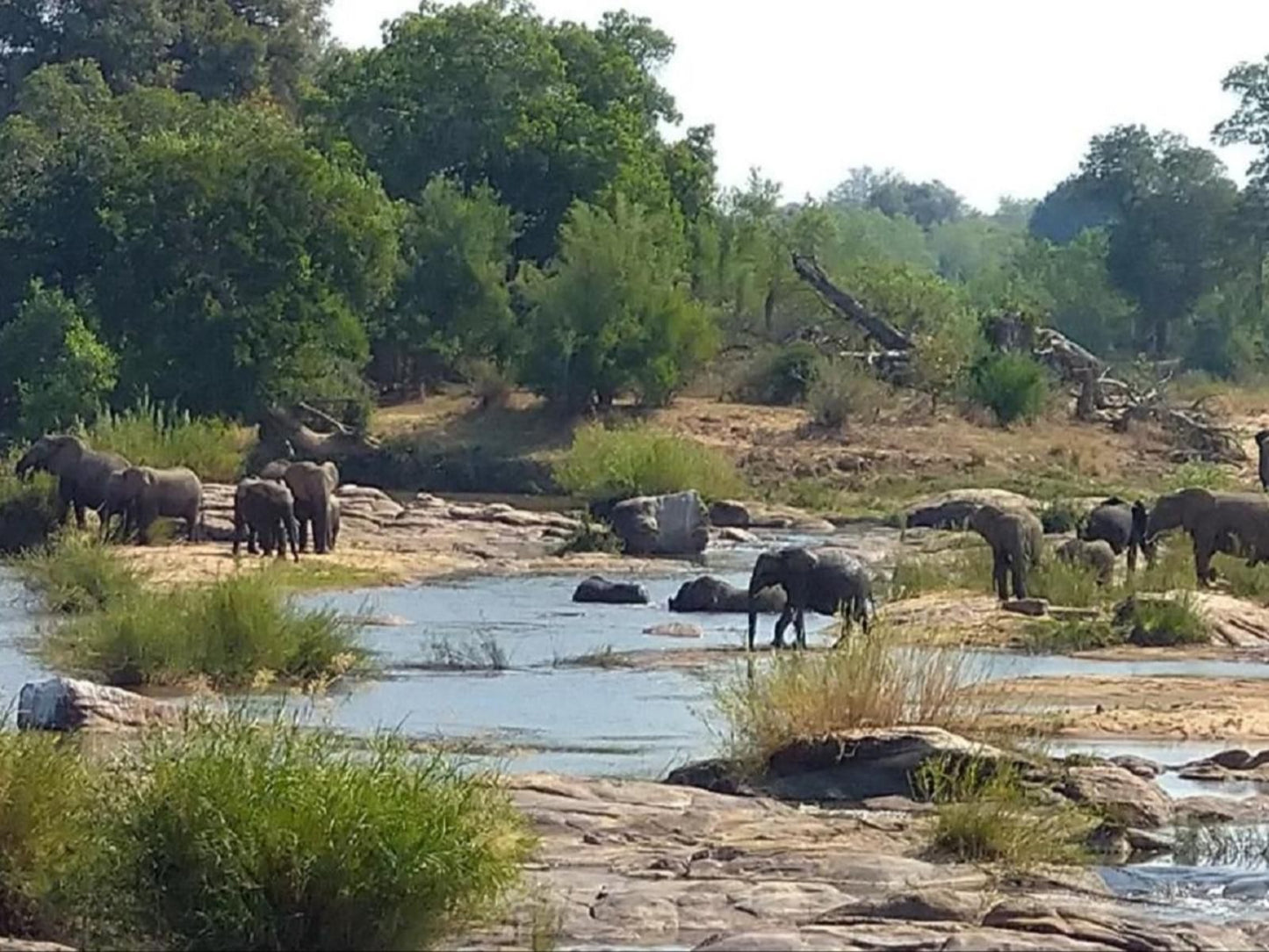 Villa De Leeu Marloth Park Mpumalanga South Africa River, Nature, Waters, Animal