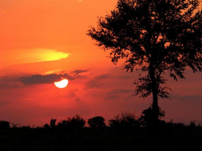 Villa De Leeu Marloth Park Mpumalanga South Africa Sky, Nature, Sunset