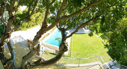 Villa Erythrina Camps Bay Cape Town Western Cape South Africa Swimming Pool