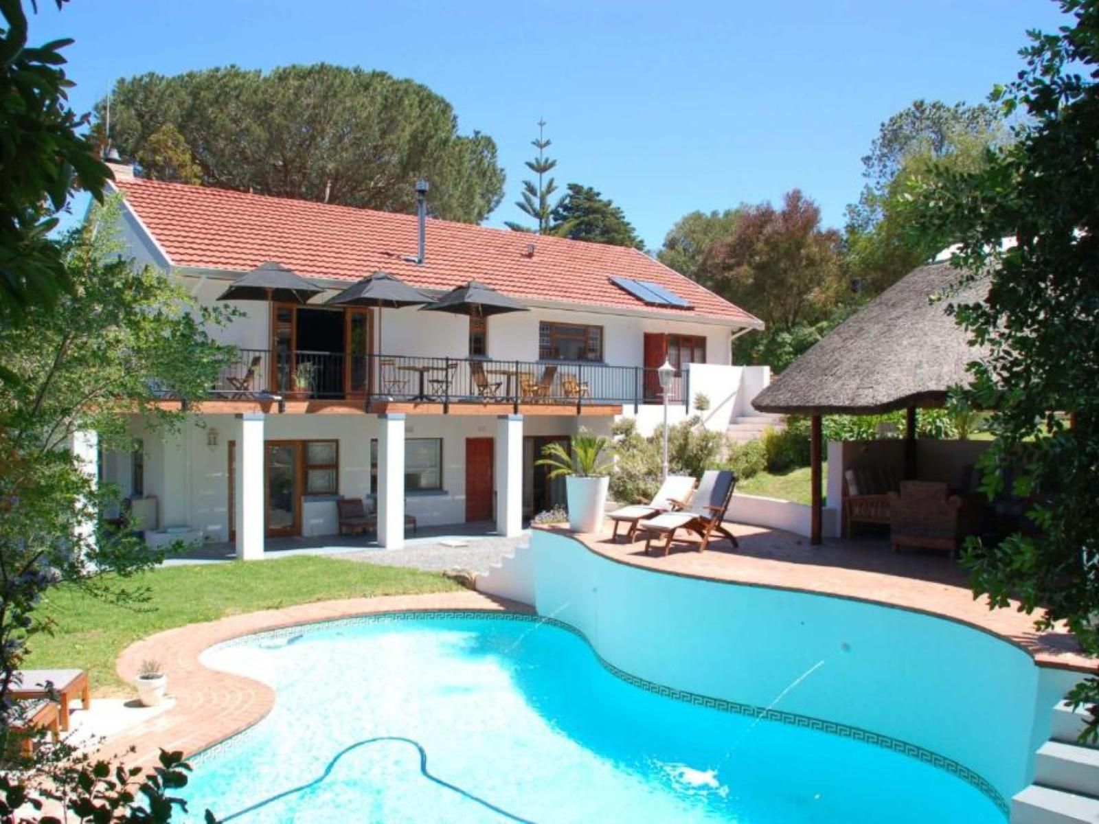 Villa Helderberg, House, Building, Architecture, Palm Tree, Plant, Nature, Wood, Swimming Pool