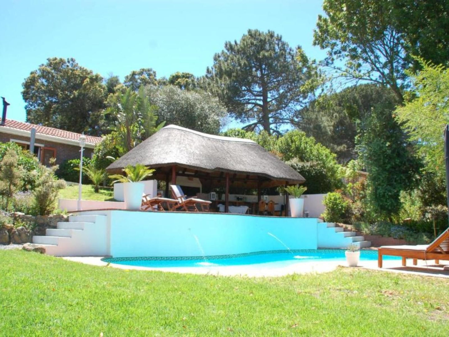 Villa Helderberg, Palm Tree, Plant, Nature, Wood, Swimming Pool