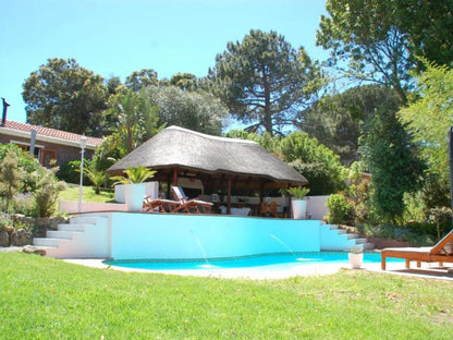 Villa Helderberg, Palm Tree, Plant, Nature, Wood, Swimming Pool