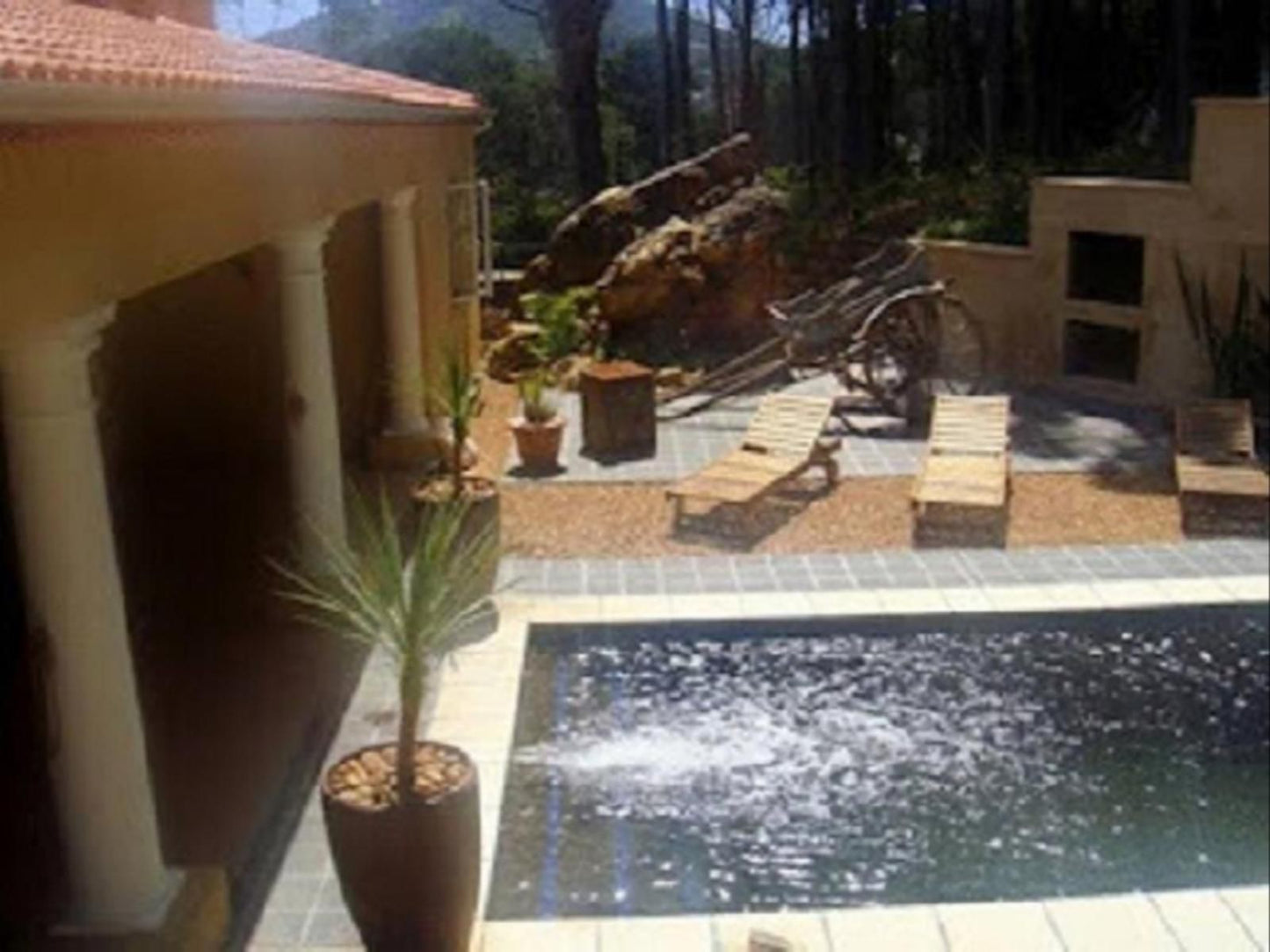 Villa Hout Bay Heights Hout Bay Cape Town Western Cape South Africa Garden, Nature, Plant, Swimming Pool