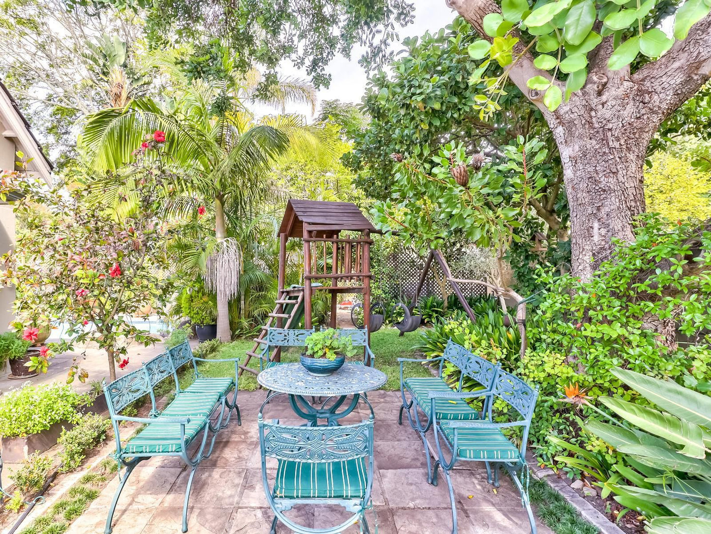 Villa Jesdene, Palm Tree, Plant, Nature, Wood, Garden